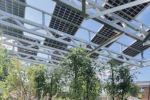 Últimos blogs de la empresa sobre Los investigadores enfatizan la importancia del diseño agrivoltaico sensible al contexto