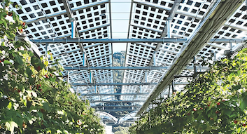 Últimos blogs de la empresa sobre Italia publica nuevas regulaciones sobre la selección de sitios para proyectos solares e incentivos fiscales para la energía solar